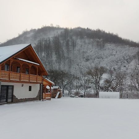 Villa Casa Nova à Vişeu de Sus Extérieur photo