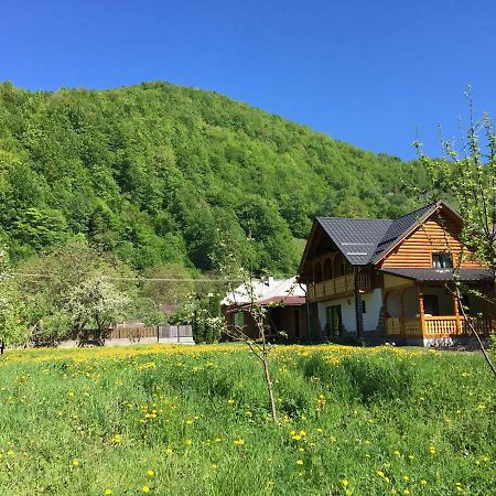 Villa Casa Nova à Vişeu de Sus Extérieur photo