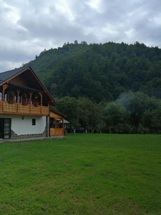 Villa Casa Nova à Vişeu de Sus Extérieur photo