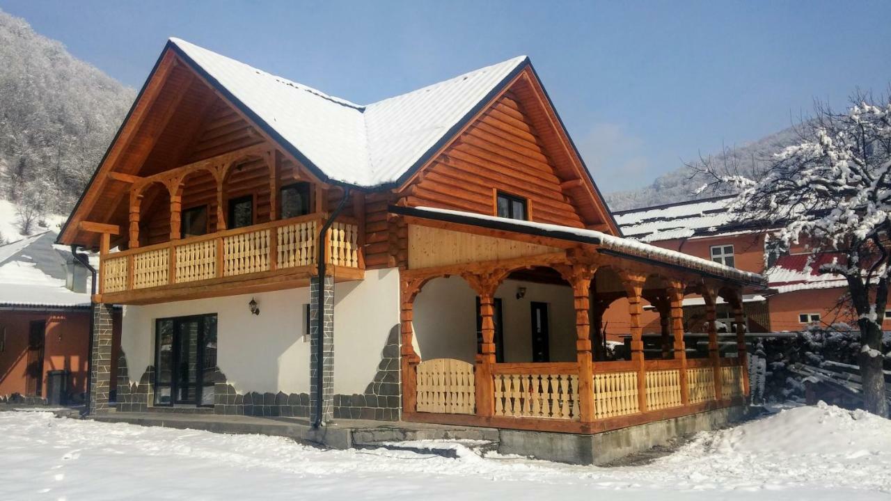 Villa Casa Nova à Vişeu de Sus Extérieur photo