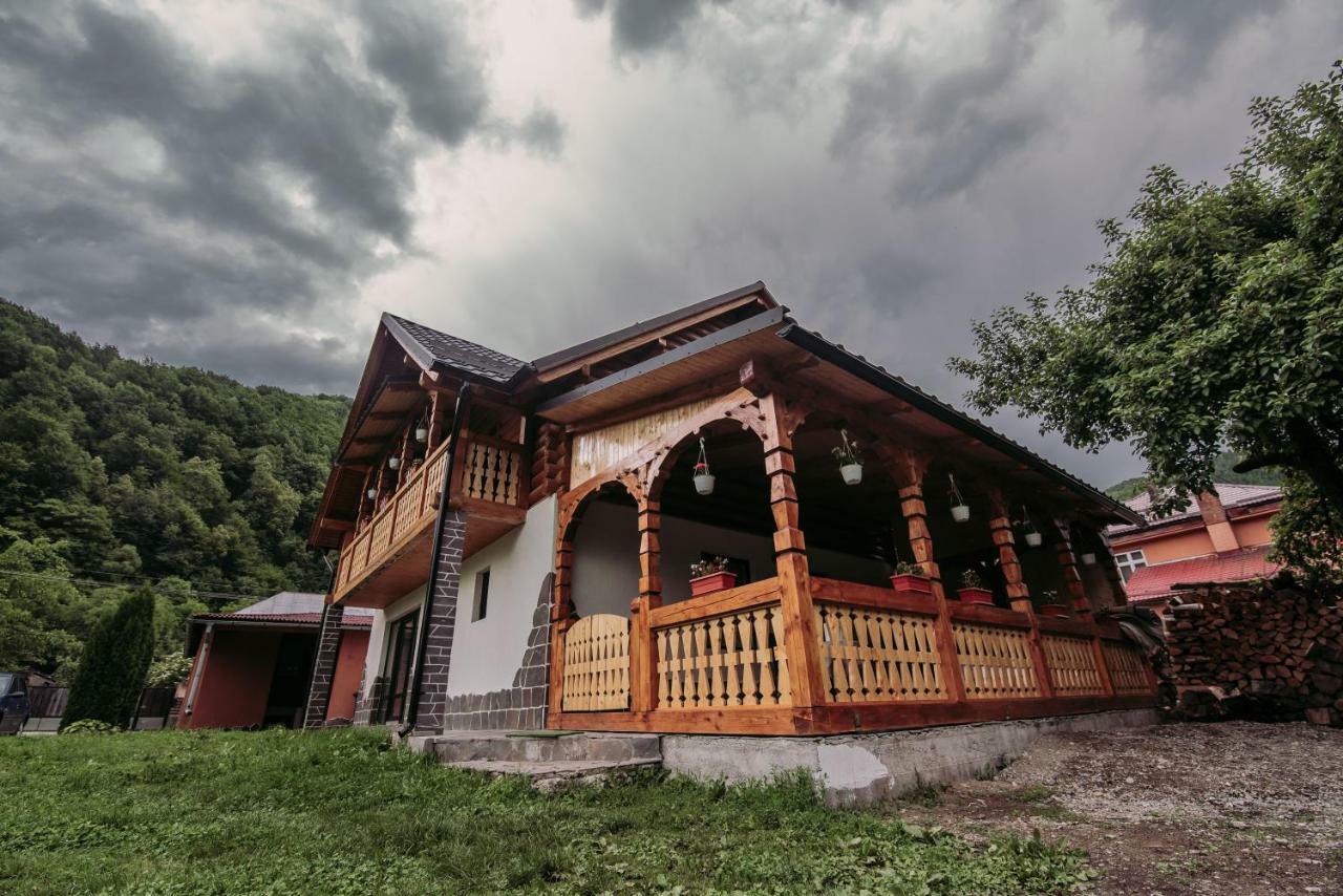 Villa Casa Nova à Vişeu de Sus Extérieur photo