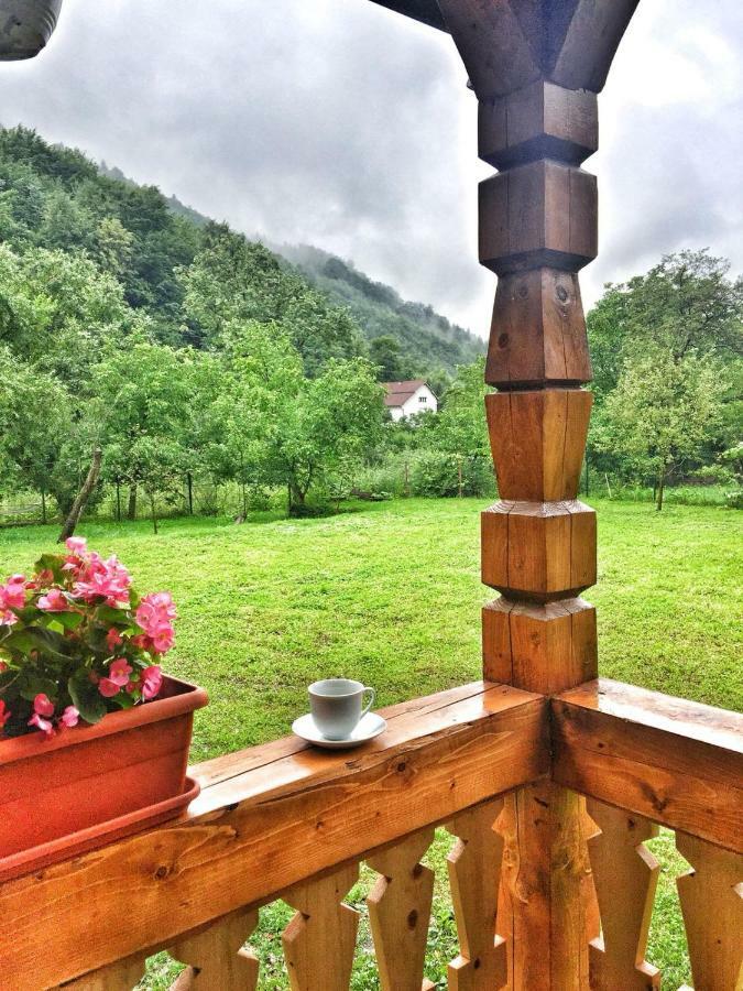 Villa Casa Nova à Vişeu de Sus Extérieur photo