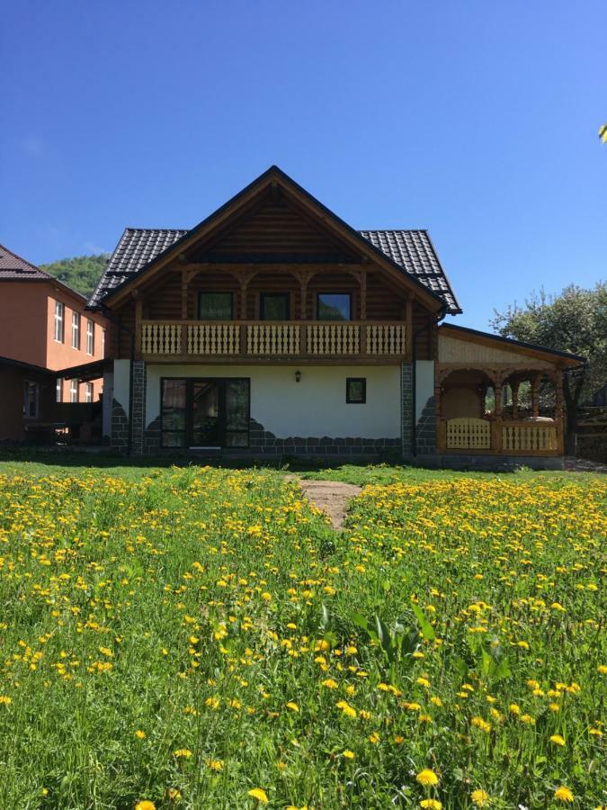 Villa Casa Nova à Vişeu de Sus Extérieur photo