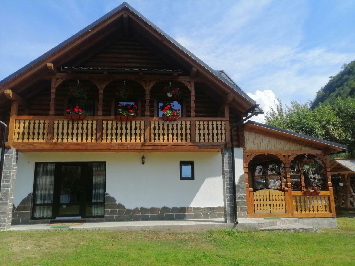 Villa Casa Nova à Vişeu de Sus Extérieur photo